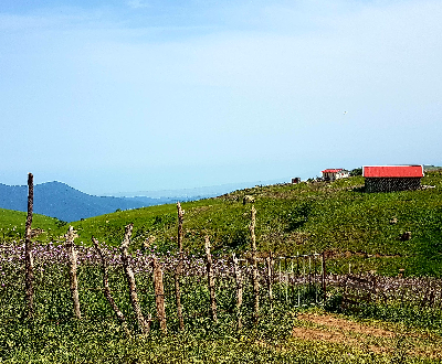 سوباتان