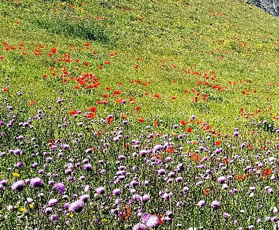 سوباتان