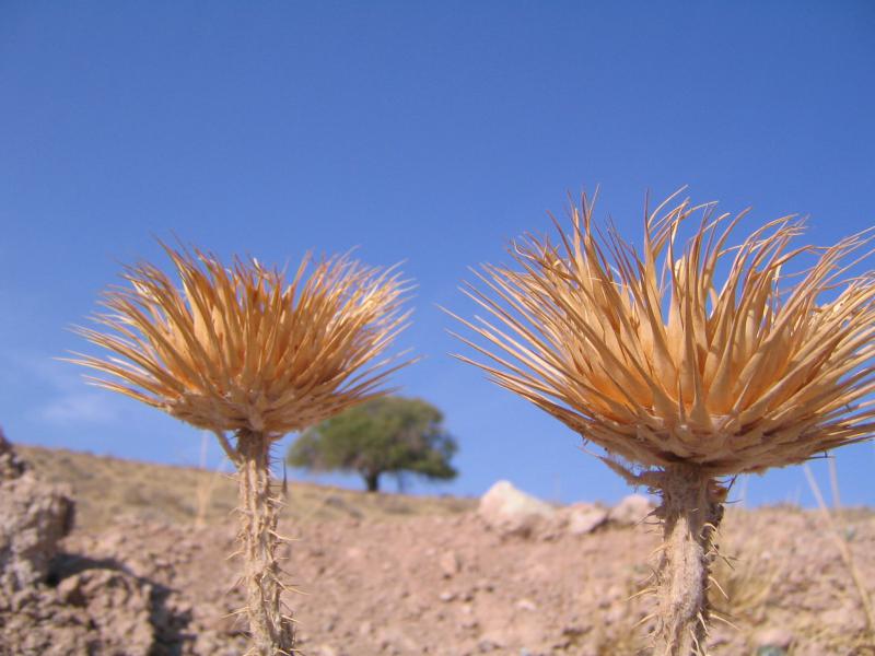 پارک ملی خجیر 