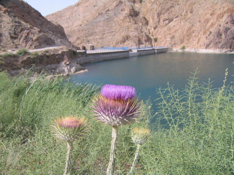 Sheikh Bahaie Dam 