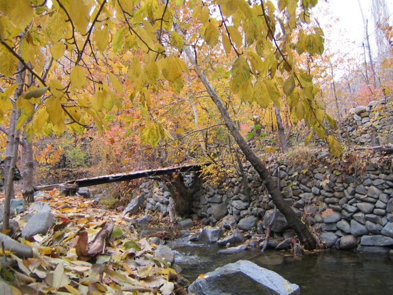 Sangan in Fall 