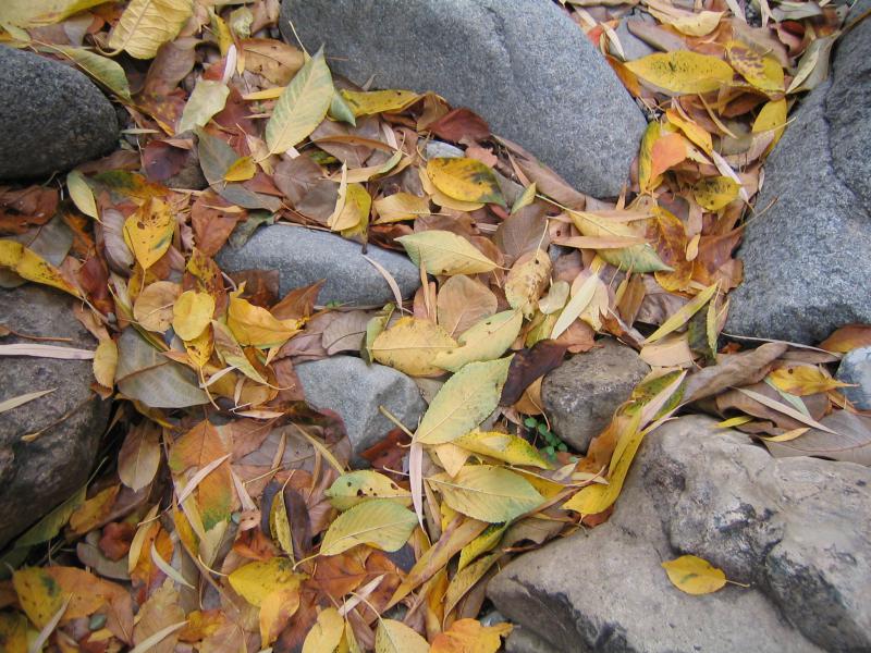 پاییز در سنگان 