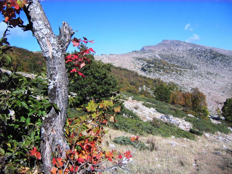 Parvar Protected Area 