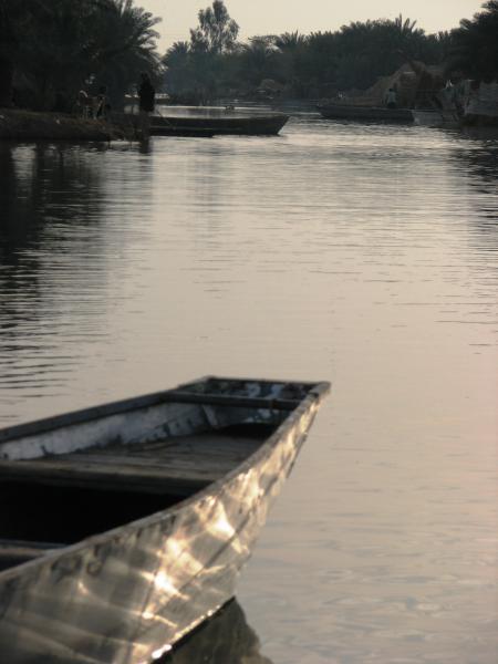 Shadegan Wetland