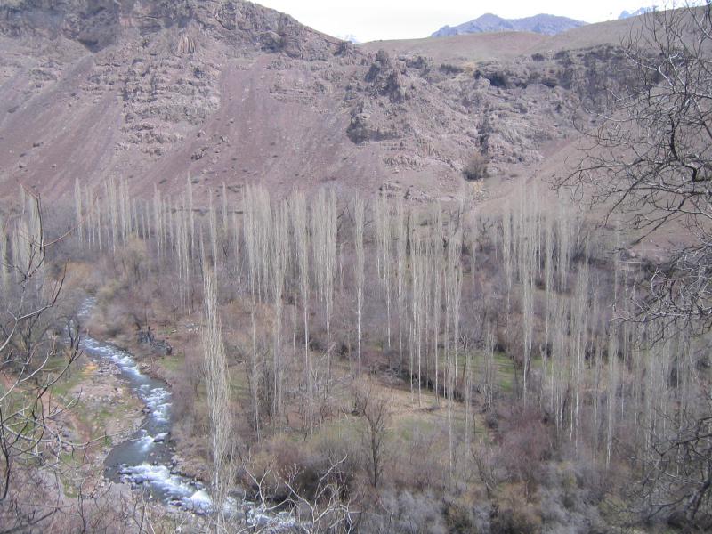 Hassan joon Valley 