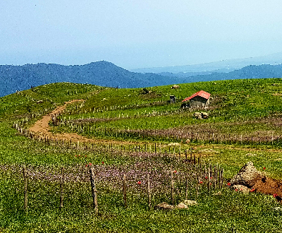 سوباتان