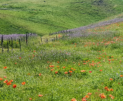 سوباتان